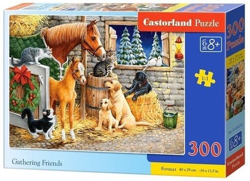 Puzzle Castorland B-030255