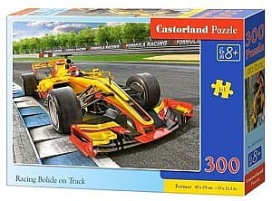Пазлы Castorland B-030347