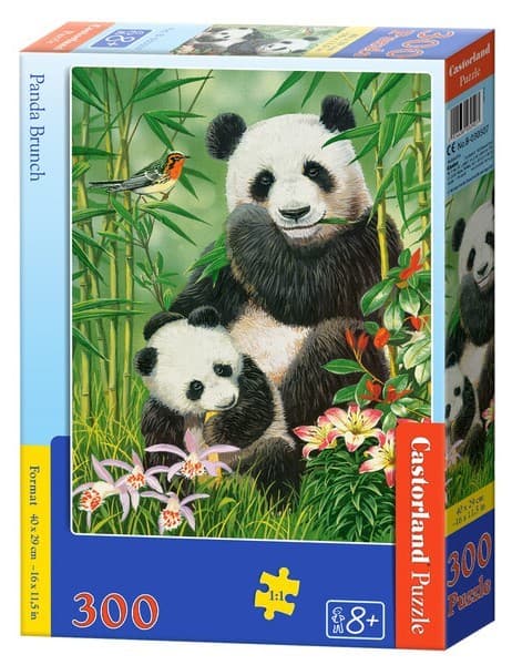 Puzzle Castorland B-030507