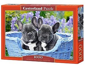 Пазлы Castorland C-104246