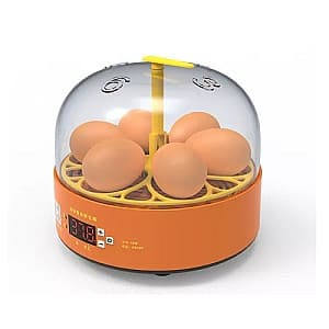 Incubator Demetra DM-6