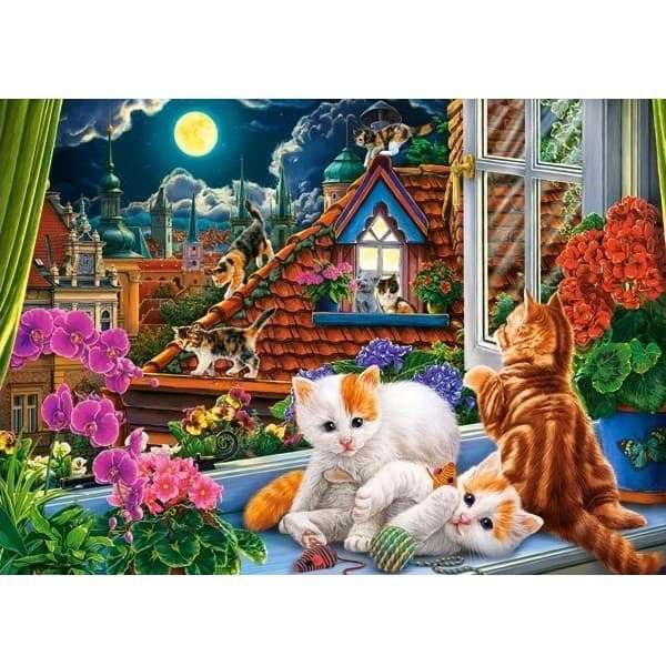 Puzzle Castorland B-018499