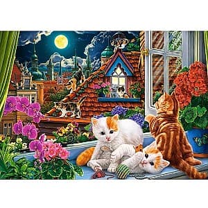 Puzzle Castorland B-018499