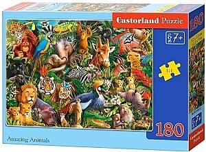 Puzzle Castorland B-018512