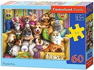 Пазлы Castorland B-066254