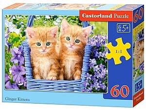 Puzzle Castorland B-066247