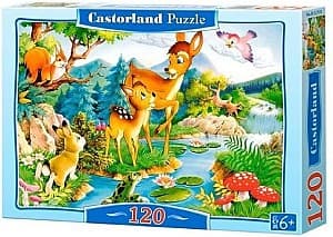 Пазлы Castorland B-12176