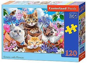 Puzzle Castorland B-13524