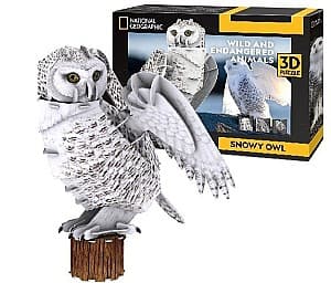 3D Puzzle CubicFun DS1079h