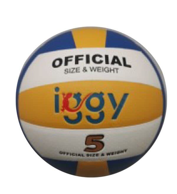 Minge IGGY Volei 5 IGVB-PRO