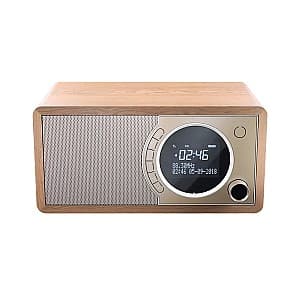 Radio Sharp DR-450BRV03 Brown