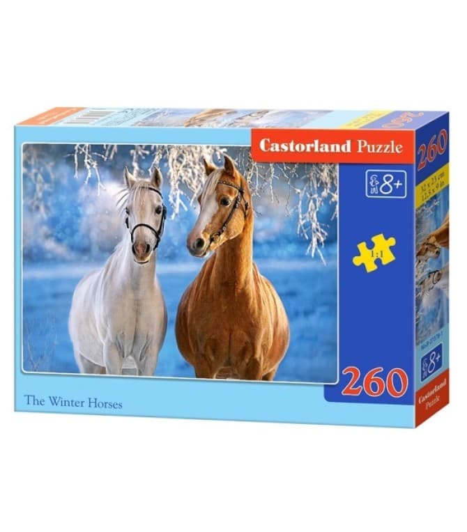 Puzzle Castorland B-27378