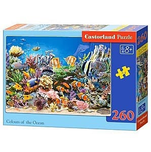 Puzzle Castorland B-27279