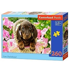 Пазлы Castorland B-27514
