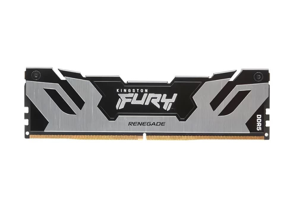 Оперативная память Kingston Fury Renegade Silver 24GB DDR5-6400MHz (KF564C32RS-24)