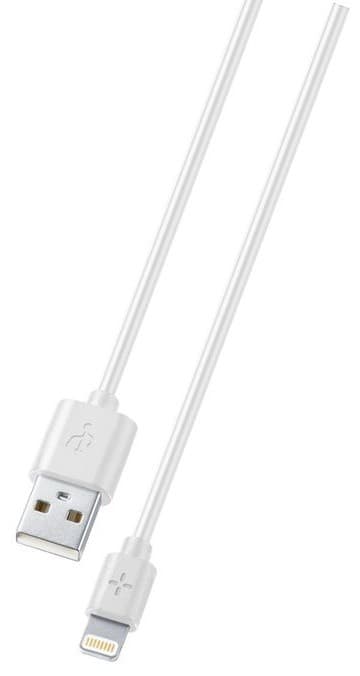 USB сablu CellularLine PLCABMFI1M