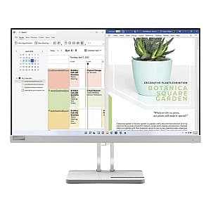 Monitor Lenovo L24e-40 Storm Gray