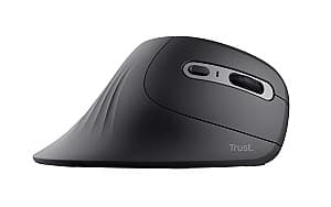 Компьютерная мышь Trust Verro Vertical Ergonomic Wireless Black