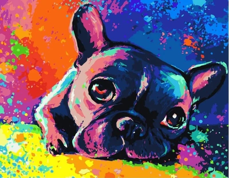 Tablou pe numere Strateg Buldog francez 40x50 cm