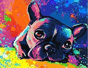 Tablou pe numere Strateg Buldog francez 40x50 cm