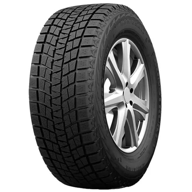 Шина Passion WINTER TYRE RW501 255/40 R19 101H