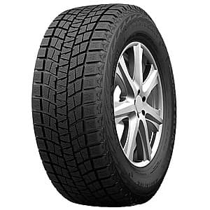 Шина Passion WINTER TYRE RW501 255/40 R19 101H