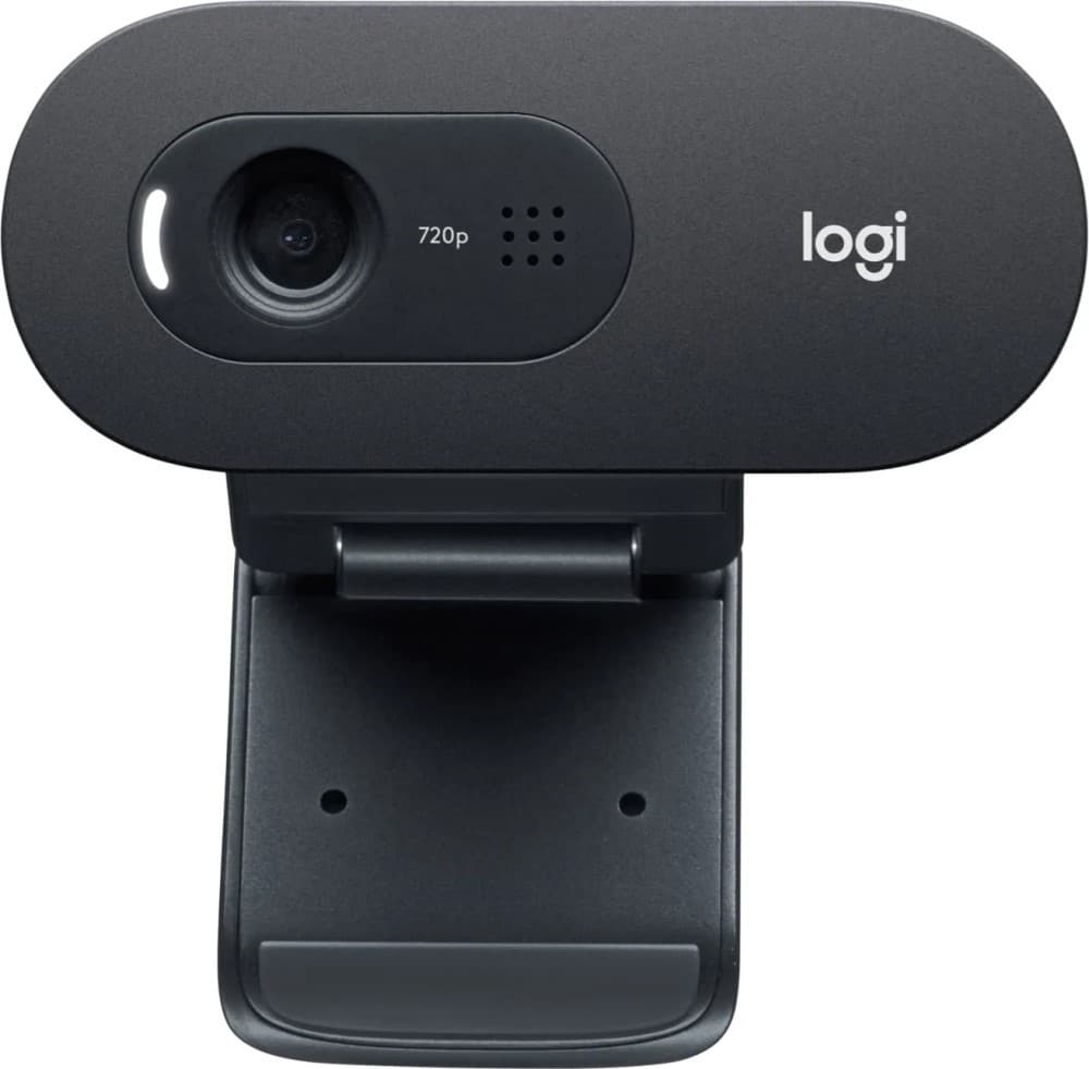 Экшн камера Logitech C505 HD (Black)