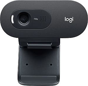 Camera de actiune Logitech C505 HD (Black)