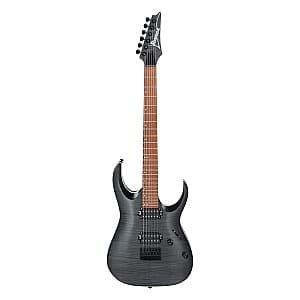 Chitară electrică Ibanez RGA42FM TGF (Transparent gray flat)