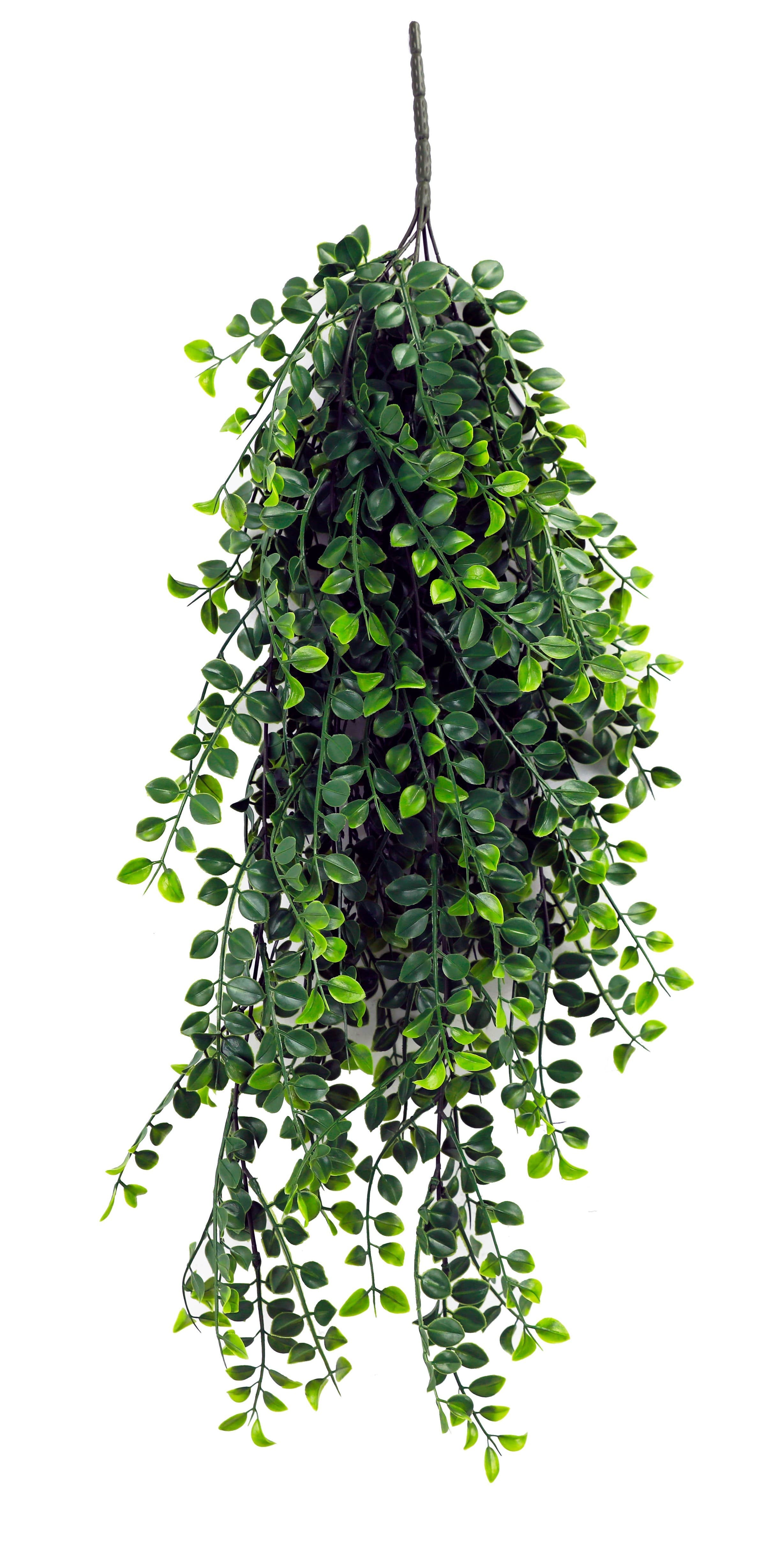  Greentech Greenery Boxwood 80 cm