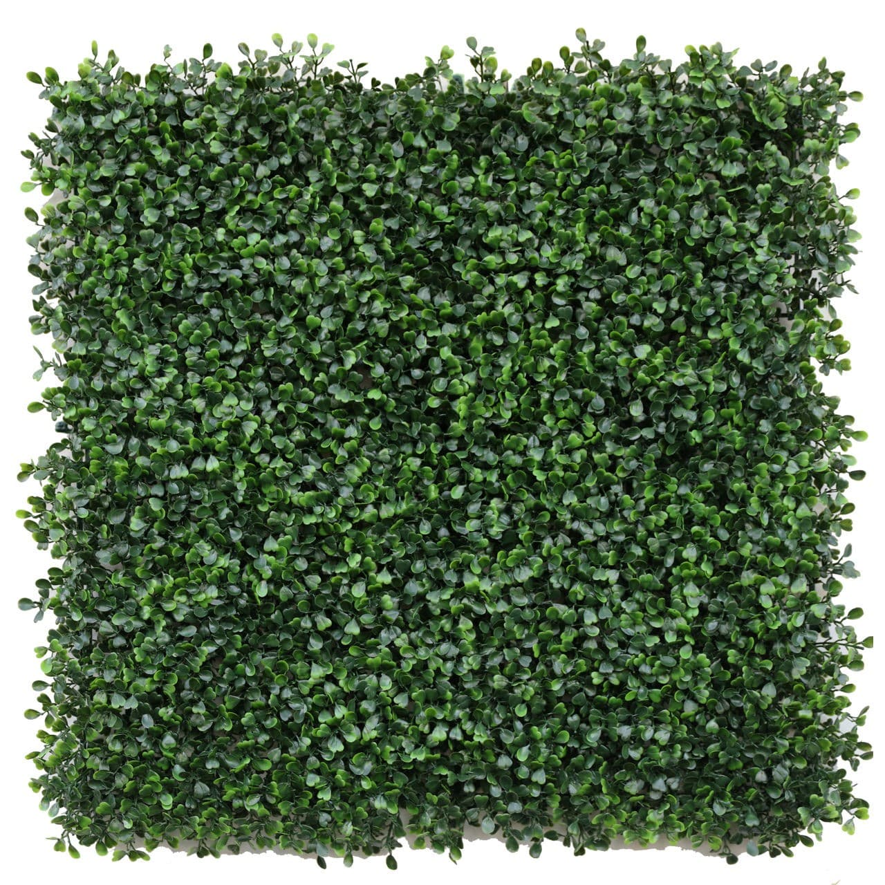Искусственная трава Greentech Greenery Boxwood 50x50 cm