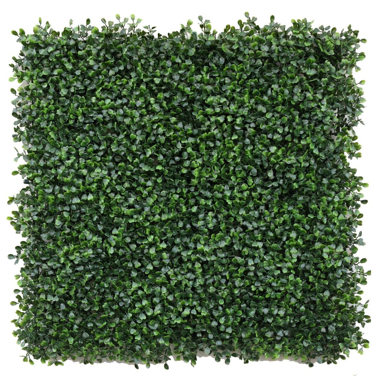 Iarba artificiala Greentech Greenery Boxwood 50x50 cm