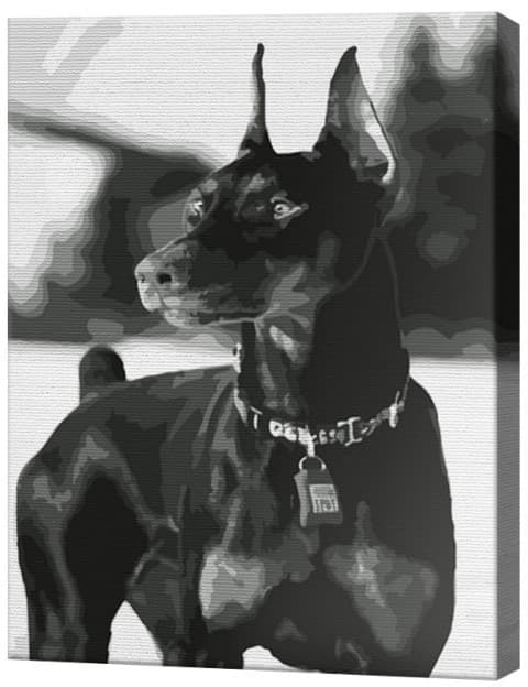 Tablou pe numere Art Gallery Doberman mândru, 40x50 cm