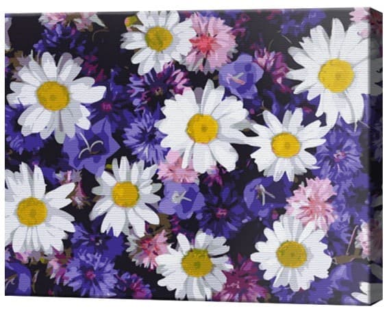 Tablou pe numere Art Gallery Flori de câmp, 40х50 cm