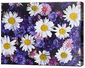 Tablou pe numere Art Gallery Flori de câmp, 40х50 cm