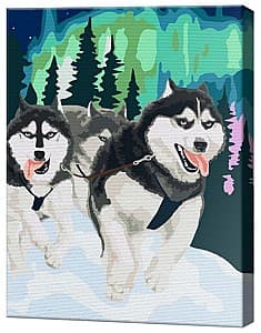 Tablou pe numere Art Gallery Husky și aurora boreala, 30х40 cm