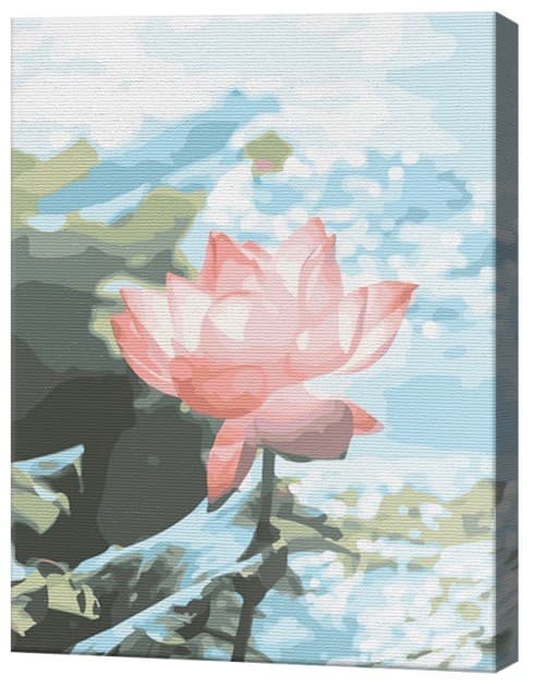 Tablou pe numere Art Gallery Crinul frumos, 30х40 cm