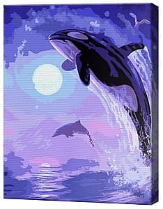 Tablou pe numere Art Gallery Orca la miez de noapte, 30х40 cm