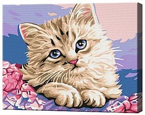 Tablou pe numere Art Gallery Motanaș gri 20х30 cm
