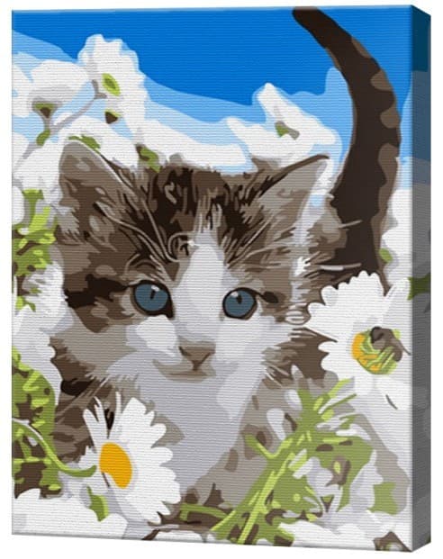 Tablou pe numere Art Gallery Motanaș printre romanițe 20х30 cm