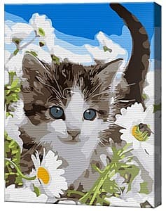Tablou pe numere Art Gallery Motanaș printre romanițe 20х30 cm