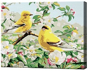 Картина по номерам Art Gallery Желтые птички на веточке 20х30 см