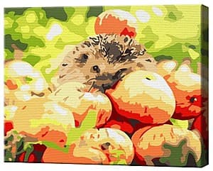 Tablou pe numere Art Gallery Ariciul printre mere 20х30 cm