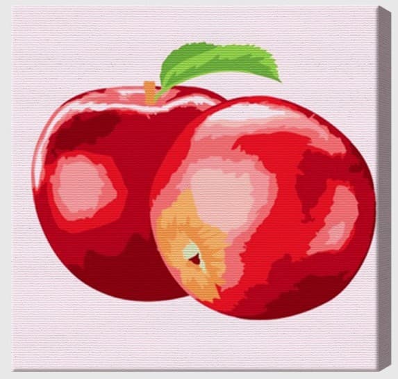 Tablou pe numere Art Gallery Mere suculente 20х20 cm