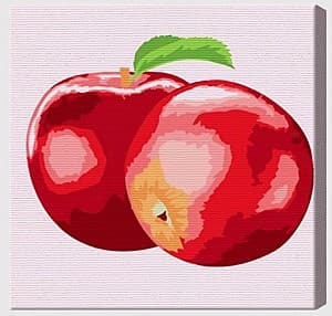 Tablou pe numere Art Gallery Mere suculente 20х20 cm