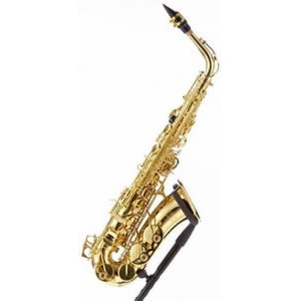 Saxofon Parrot 6430 L