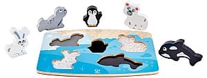  Hape Polar Animal E1620A