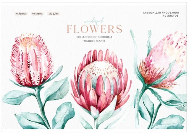 Album Greenwich Line "Flowers collection"
