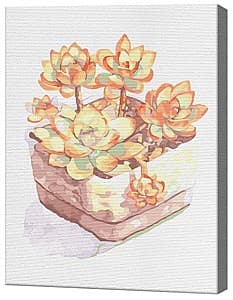 Tablou pe numere Art Gallery Succulenti în acuarela, 30х40 cm