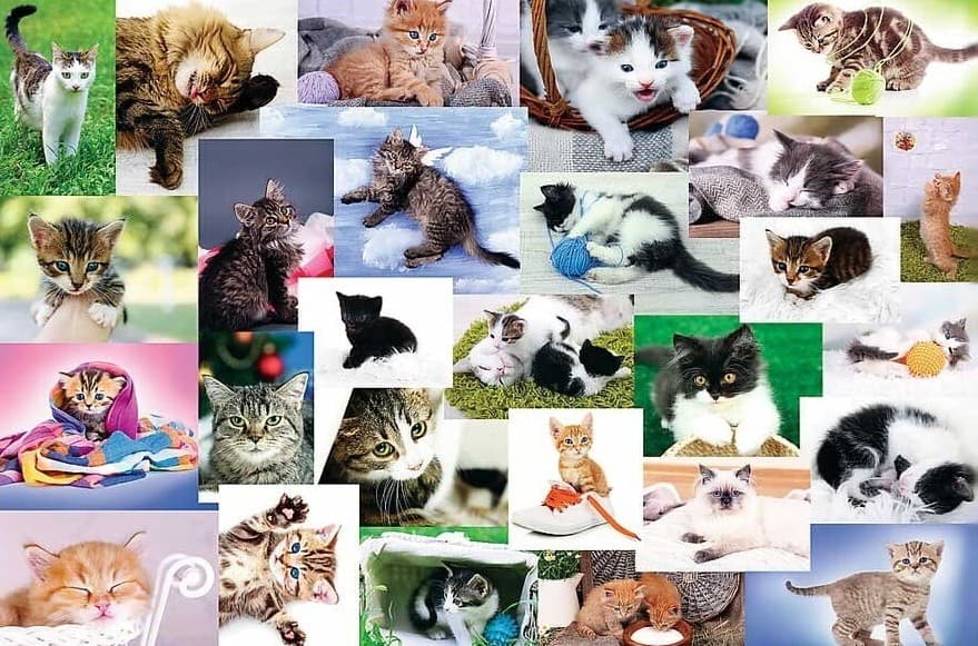 Puzzle Trefl 17332